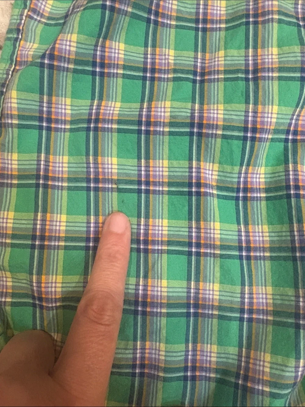 Ralph Lauren Green Plaid Button-Down Shirt